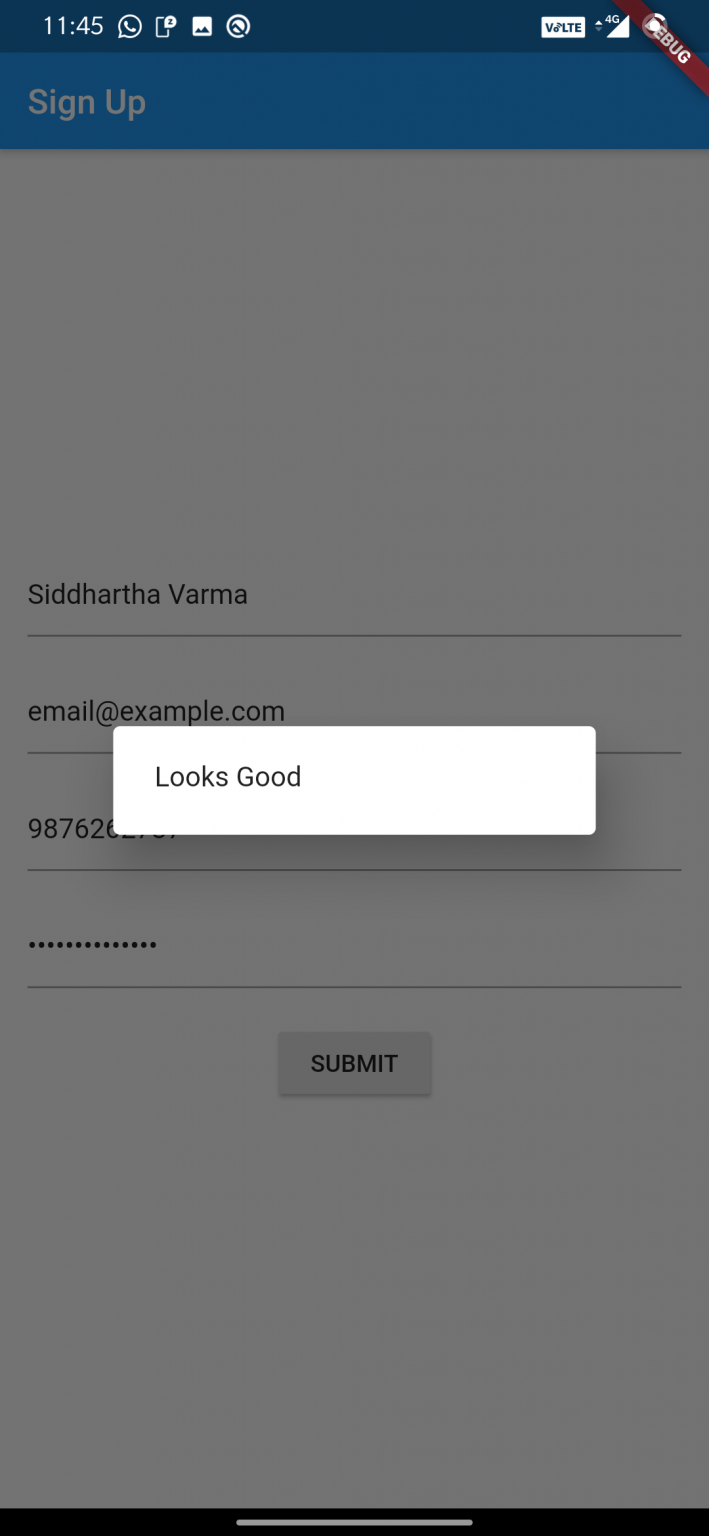 flutter form validation example popup message box